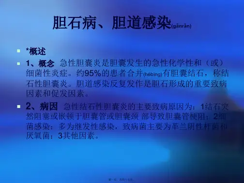 2022年医学专题—胆石症、胆道感染