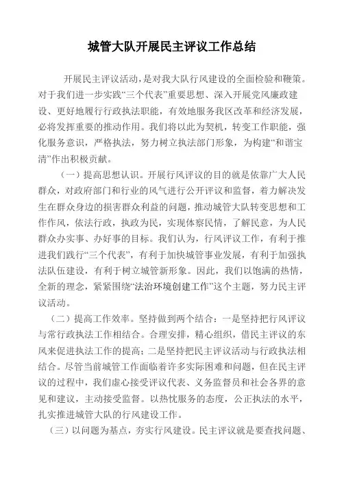 城管大队开展民主评议工作总结