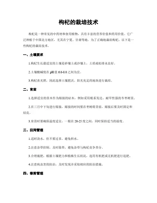 枸杞的栽培技术