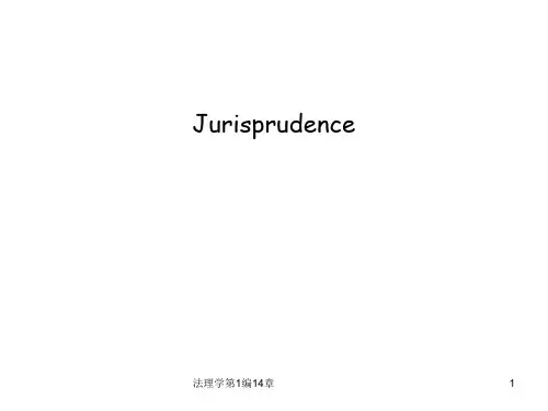 法理学第1编14章课件