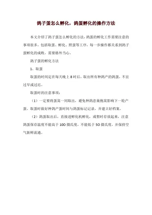 鸽子蛋怎么孵化,鸽蛋孵化的操作方法
