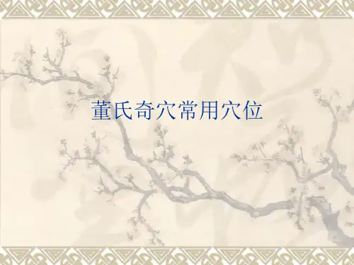 董氏奇穴常见穴位