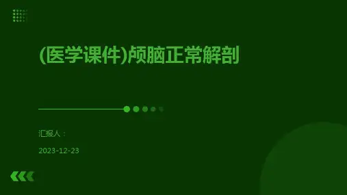 (医学课件)颅脑正常解剖