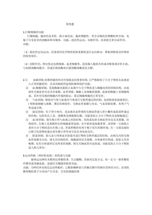 组胚简答题