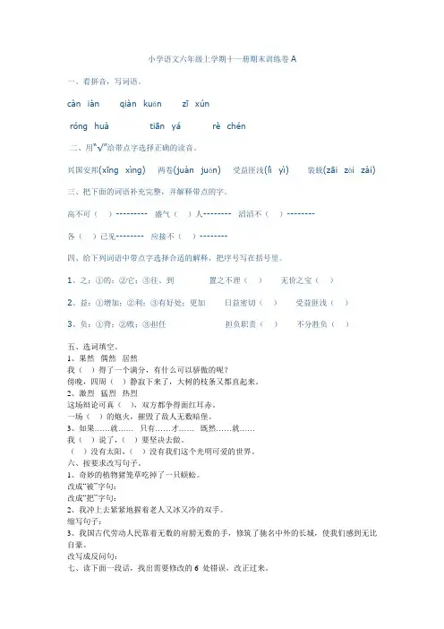 小学六年级语文期末训练A