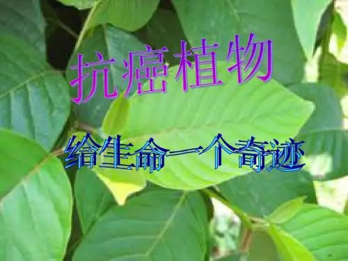 抗癌植物PPT