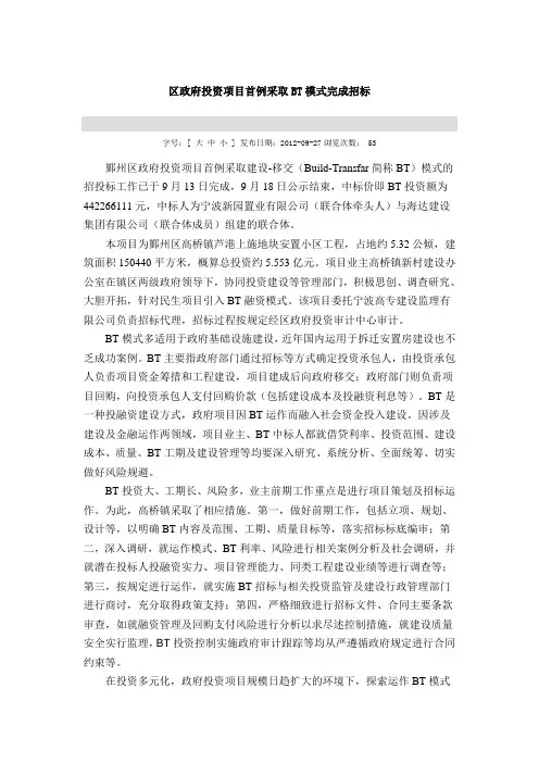 区政府投资项目实施例子