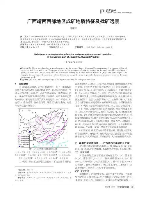 广西靖西西部地区成矿地质特征及找矿远景