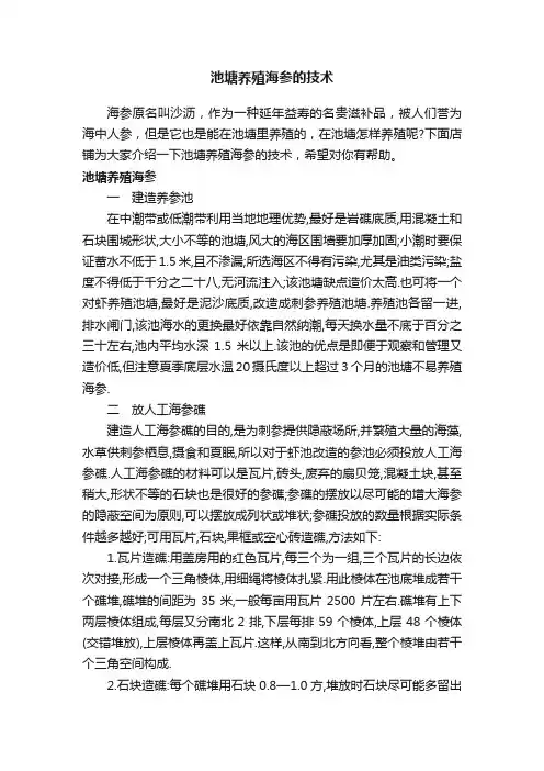 池塘养殖海参的技术