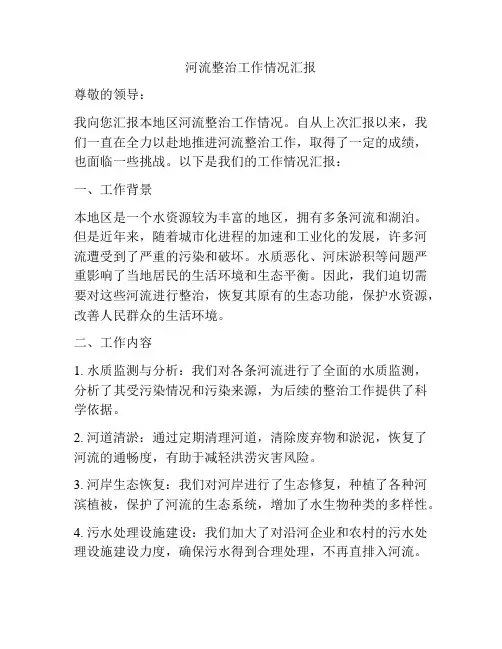 河流整治工作情况汇报