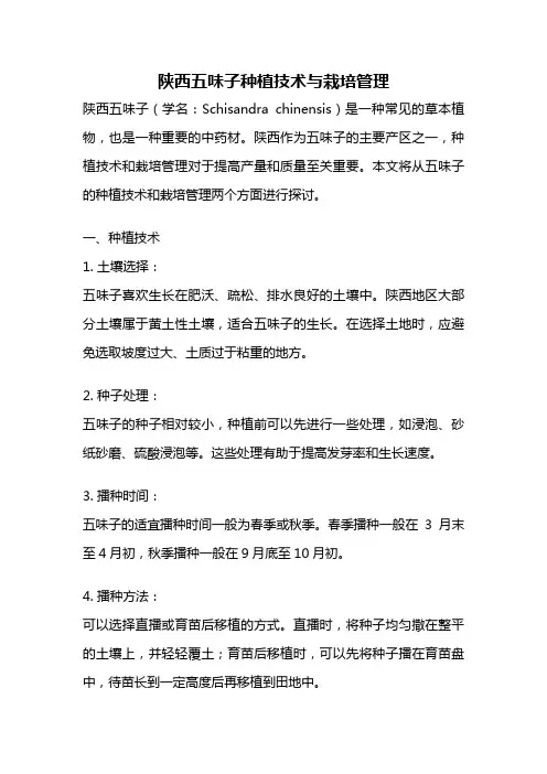 陕西五味子种植技术与栽培管理