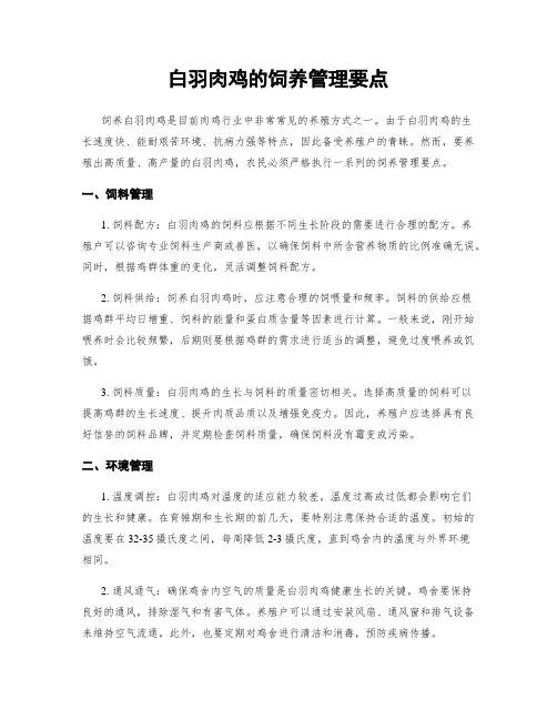 白羽肉鸡的饲养管理要点