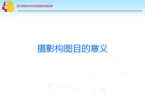 摄影构图目的意义汇总