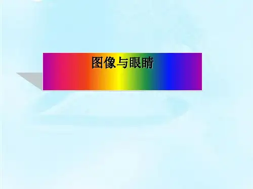 高一美术《美术鉴赏》图像与眼睛湘美版
