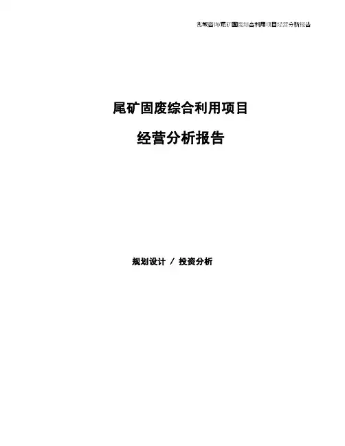 尾矿固废综合利用项目经营分析报告