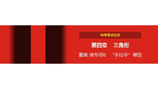 中考数学第四章 三角形 重难 微专项6  “手拉手”模型