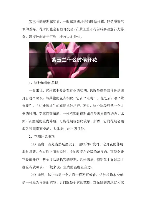 紫玉兰什么时候开花