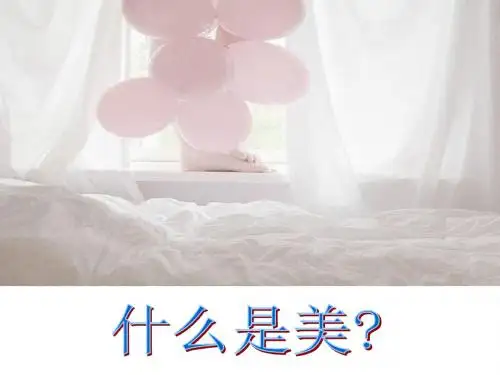 什么是美