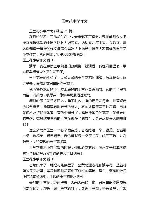 玉兰花小学作文（精选71篇）