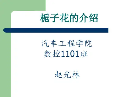 栀子花