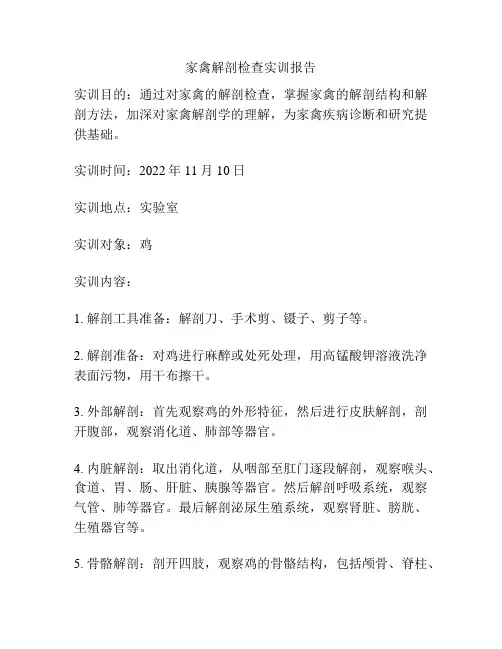 家禽解剖检查实训报告