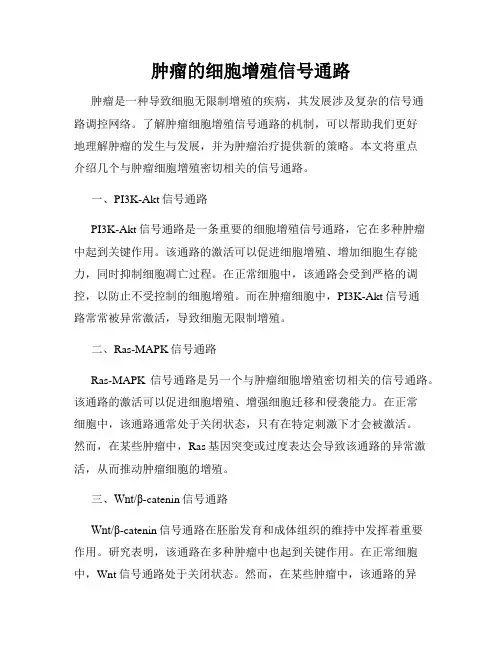 肿瘤的细胞增殖信号通路