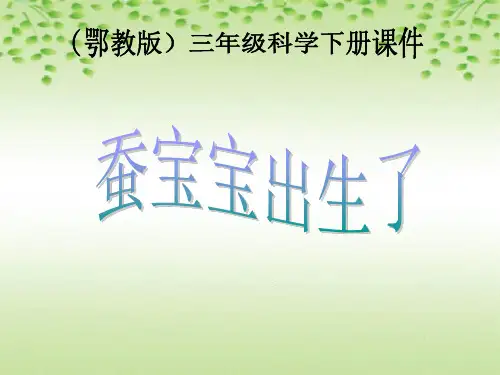 小学科学三年下册《蚕宝宝出生了》教学课件