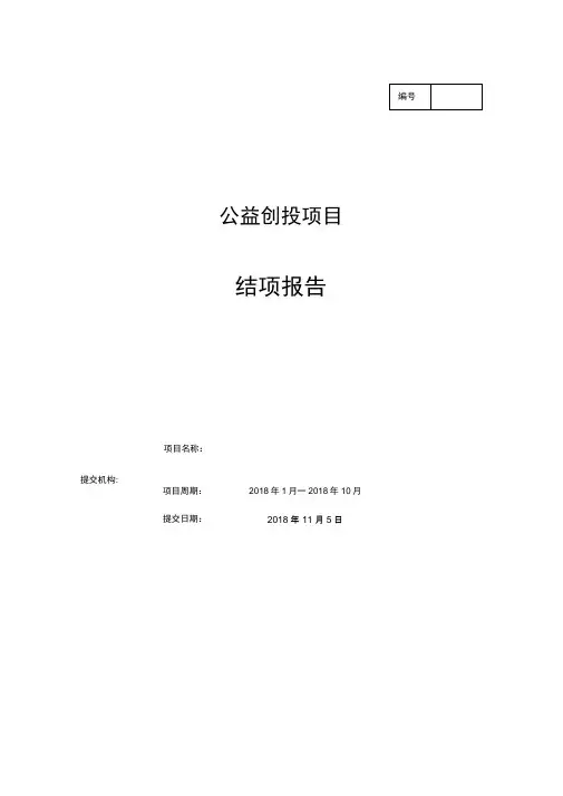 公益创投结项评估报告