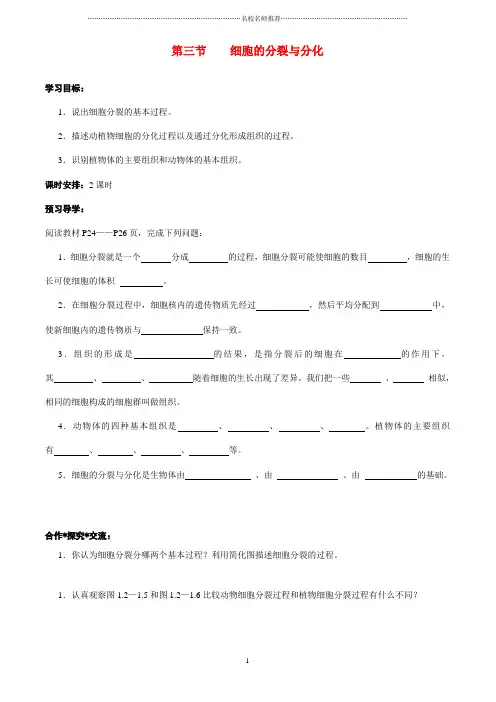 初中七年级生物上册 第二章 第三节 细胞的分裂与分化名师精编学案 济南版