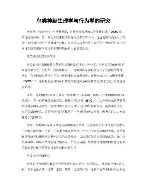 鸟类神经生理学与行为学的研究