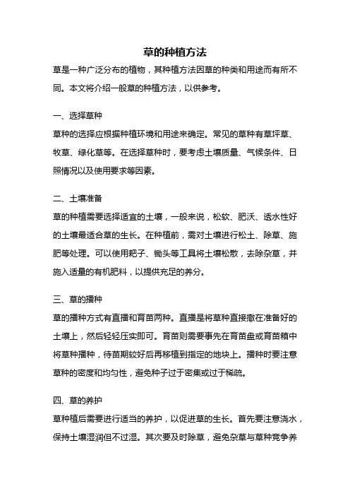 草的种植方法