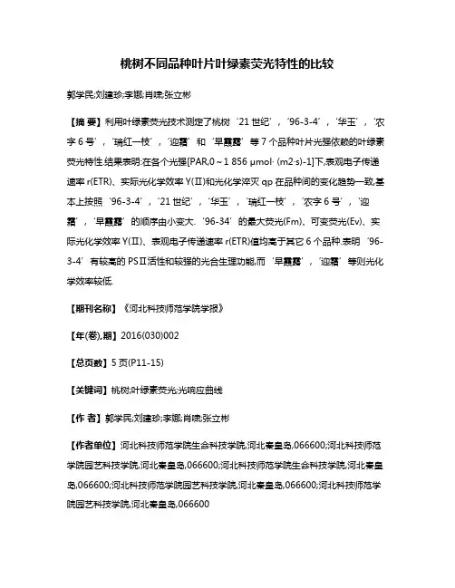 桃树不同品种叶片叶绿素荧光特性的比较