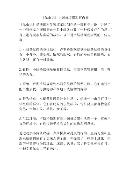 《昆虫记》小阔条纹碟观察内容
