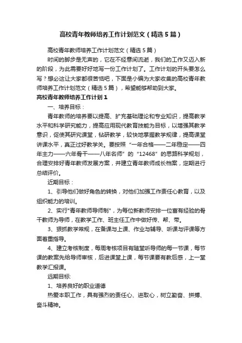 高校青年教师培养工作计划范文（精选5篇）