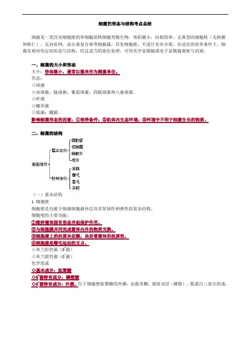 细菌的形态与结构考点总结