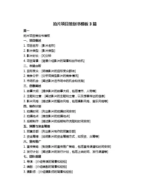 拍片项目策划书模板3篇
