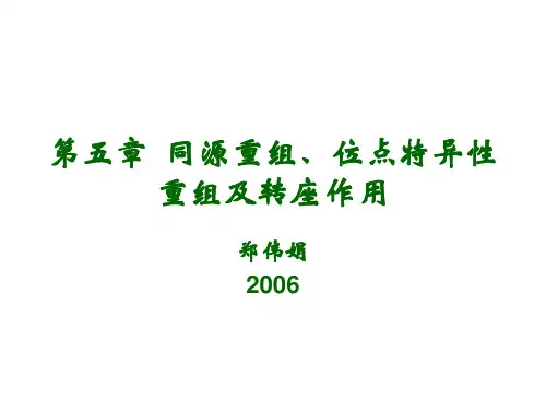 分子生物学课件第五章  同源重组、位点特异性重组