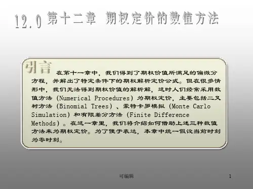 期权定价的数值方法