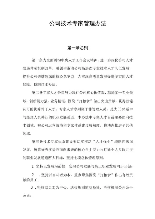 公司技术专家管理办法