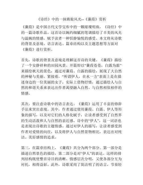 《诗经》中的一抹旖旎风光--《蒹葭》赏析