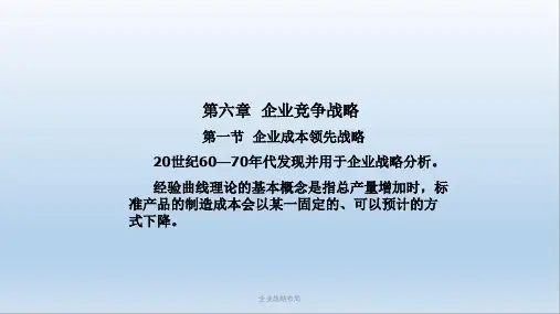 企业战略布局PPT课件