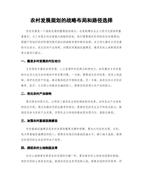 农村发展规划的战略布局和路径选择
