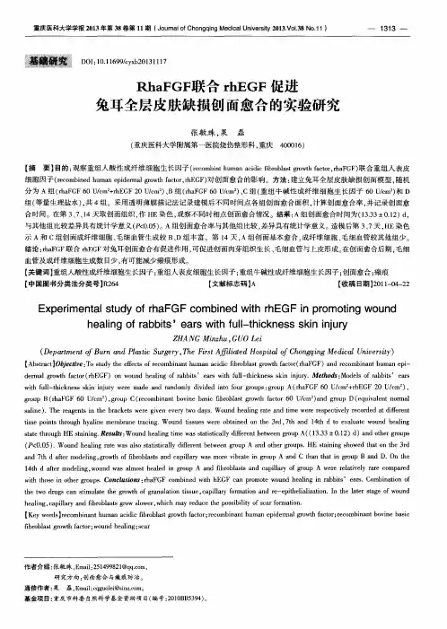 RhaFGF联合rhEGF促进兔耳全层皮肤缺损创面愈合的实验研究