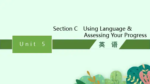 人教版高中英语选择性必修第四册精品课件 Unit 5 Section C