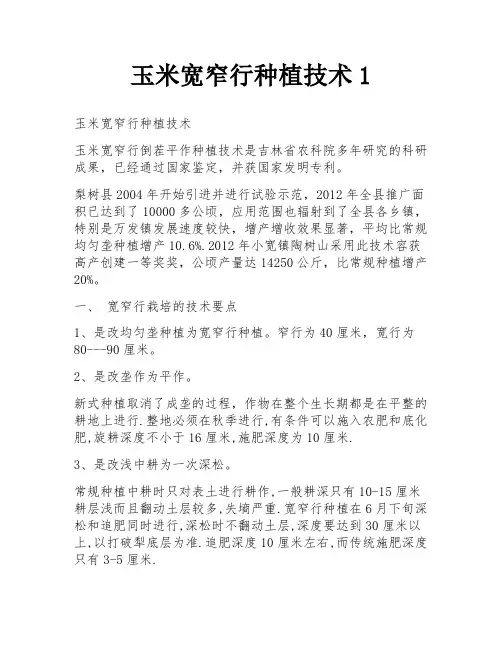 玉米宽窄行种植技术1