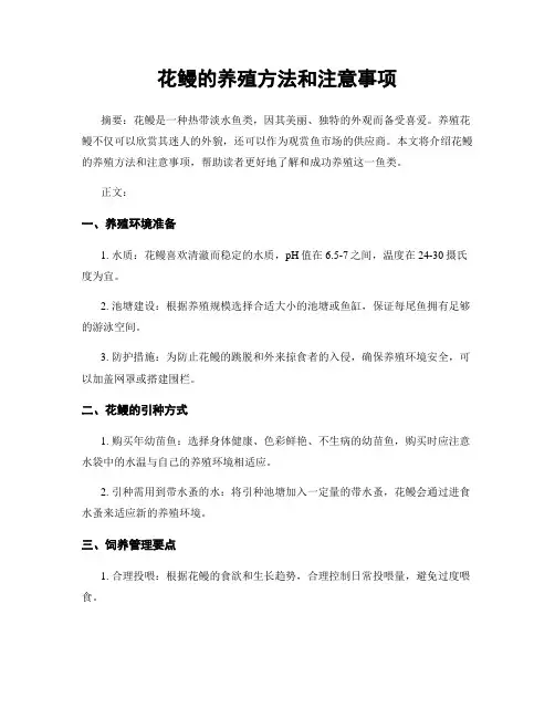 花鳗的养殖方法和注意事项