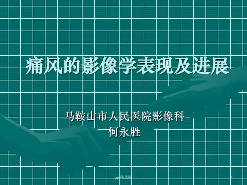 痛风的影像学表现及进展--何永胜PPT课件