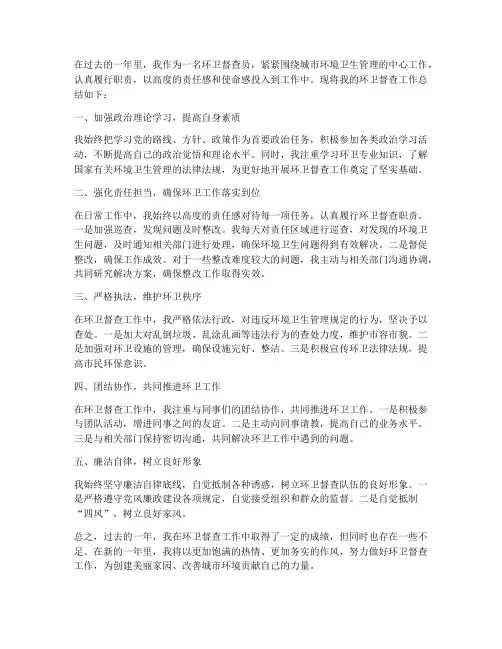 环卫督查工作总结个人