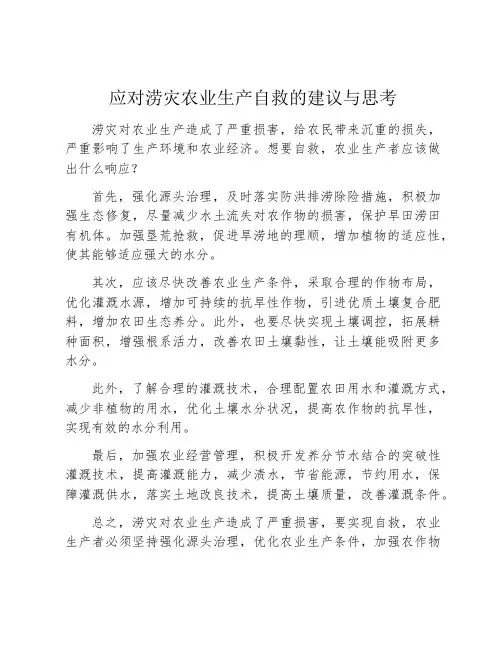 应对涝灾农业生产自救的建议与思考