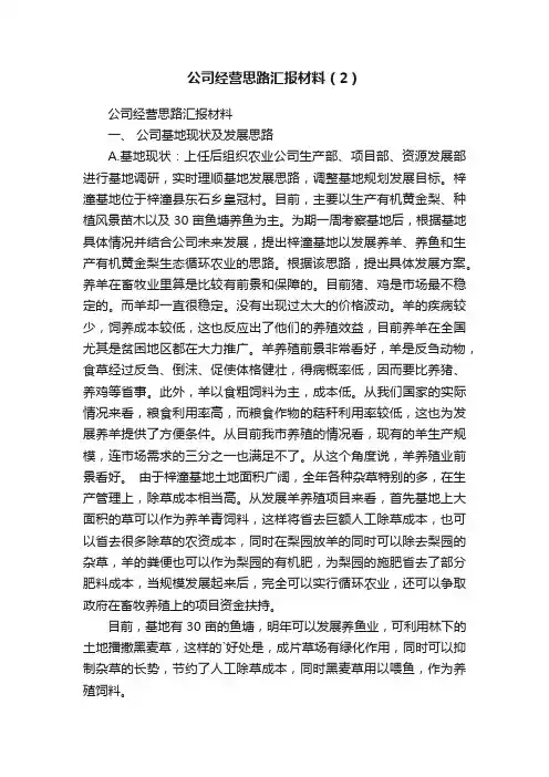 公司经营思路汇报材料（2）